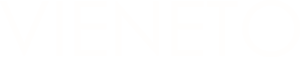 VIENETO